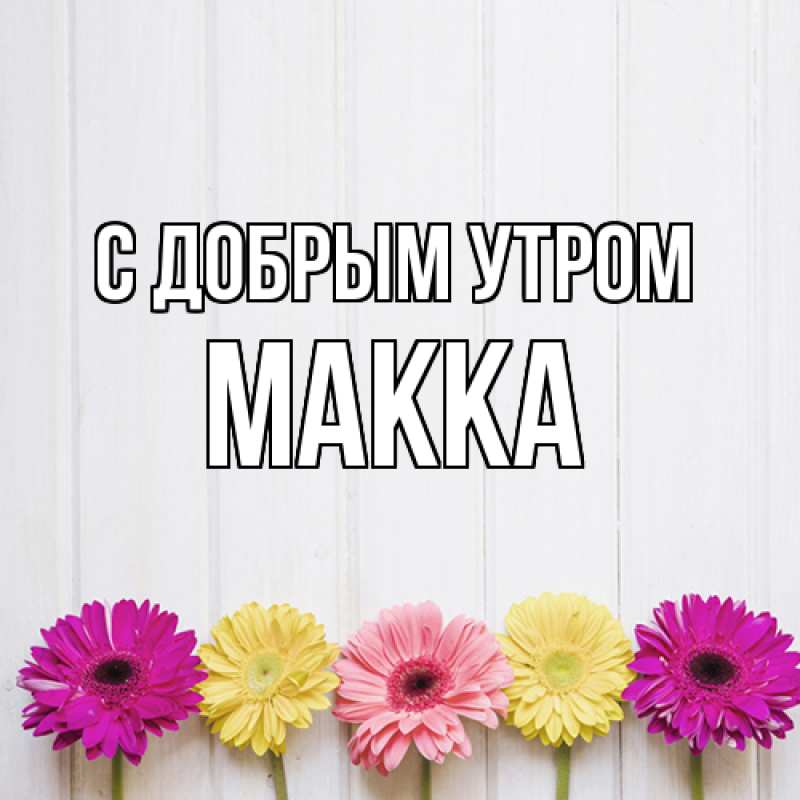 Картинка С добрым утром, Макка