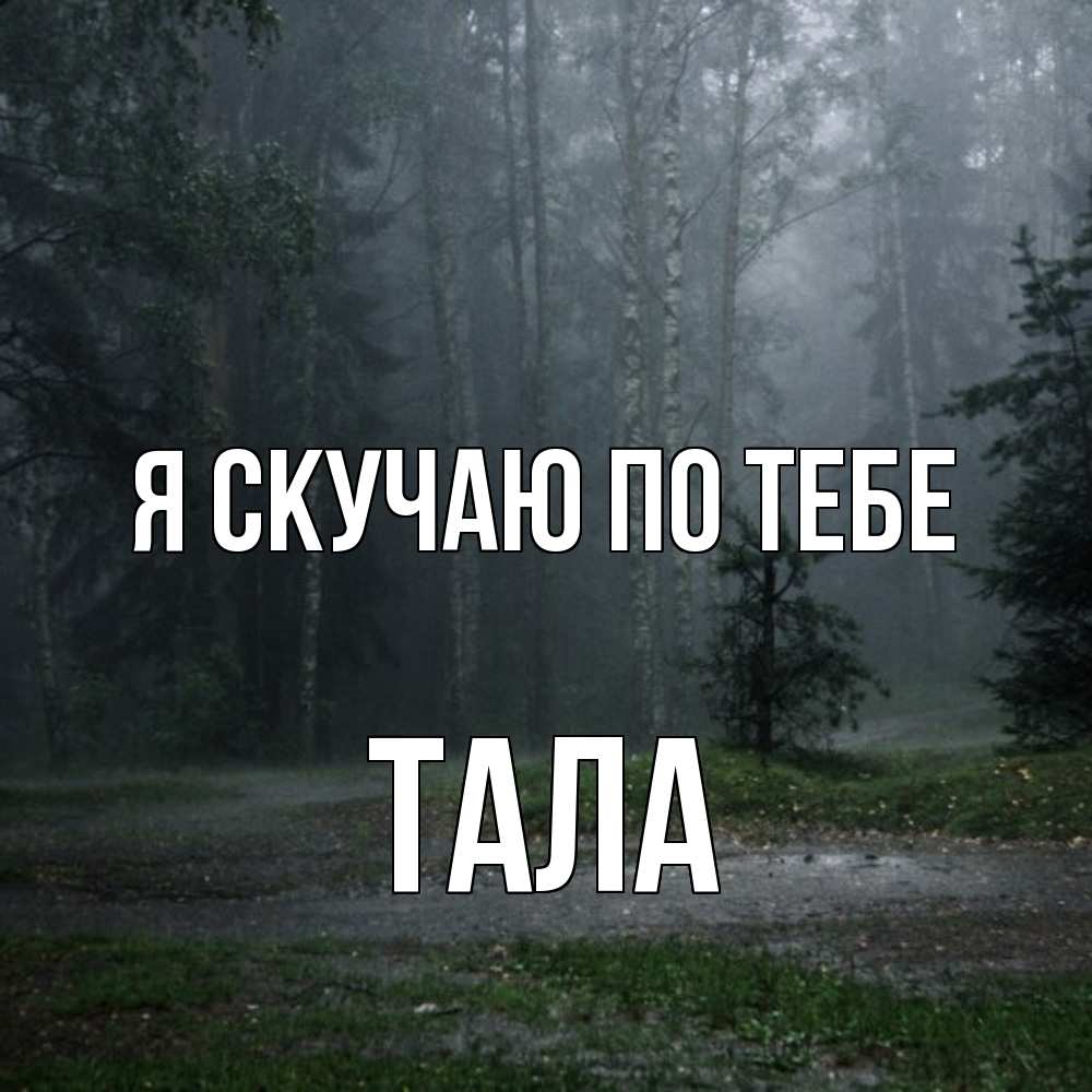 Открытка  с именем. Тала, Я скучаю по тебе  