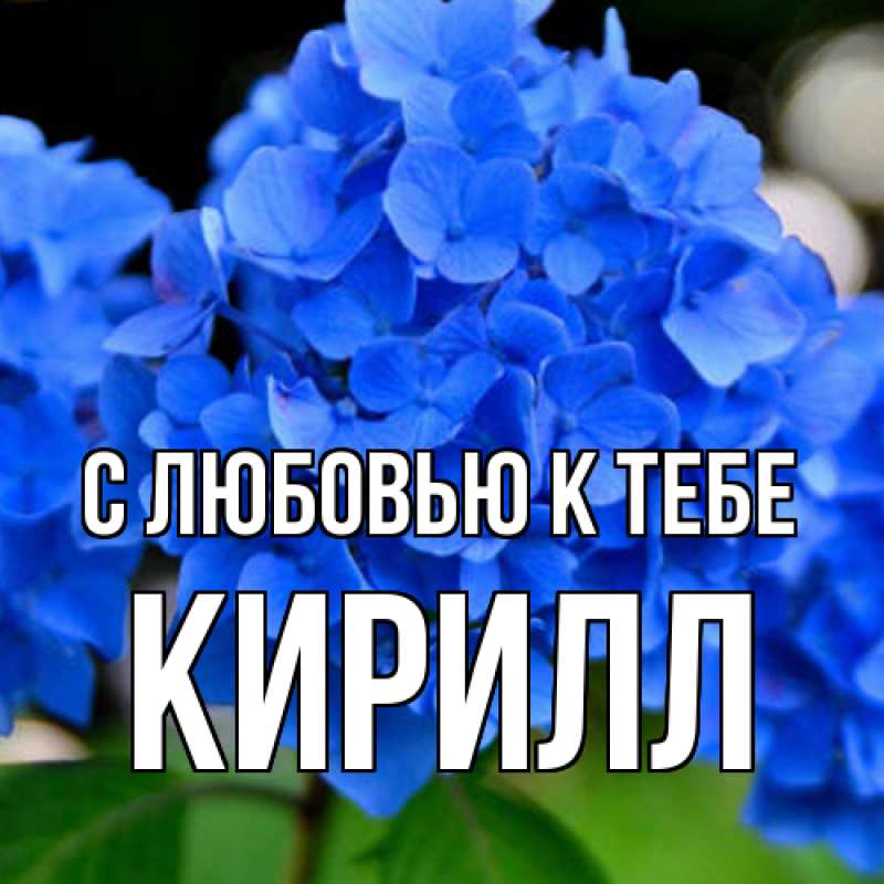 Картинка С любовью к тебе, Кирилл