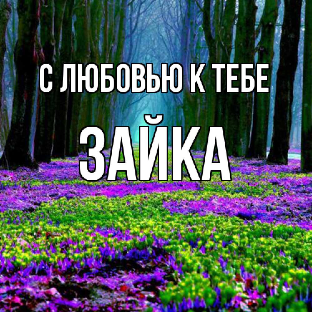 Открытка  с именем. Зайка, С любовью к тебе  