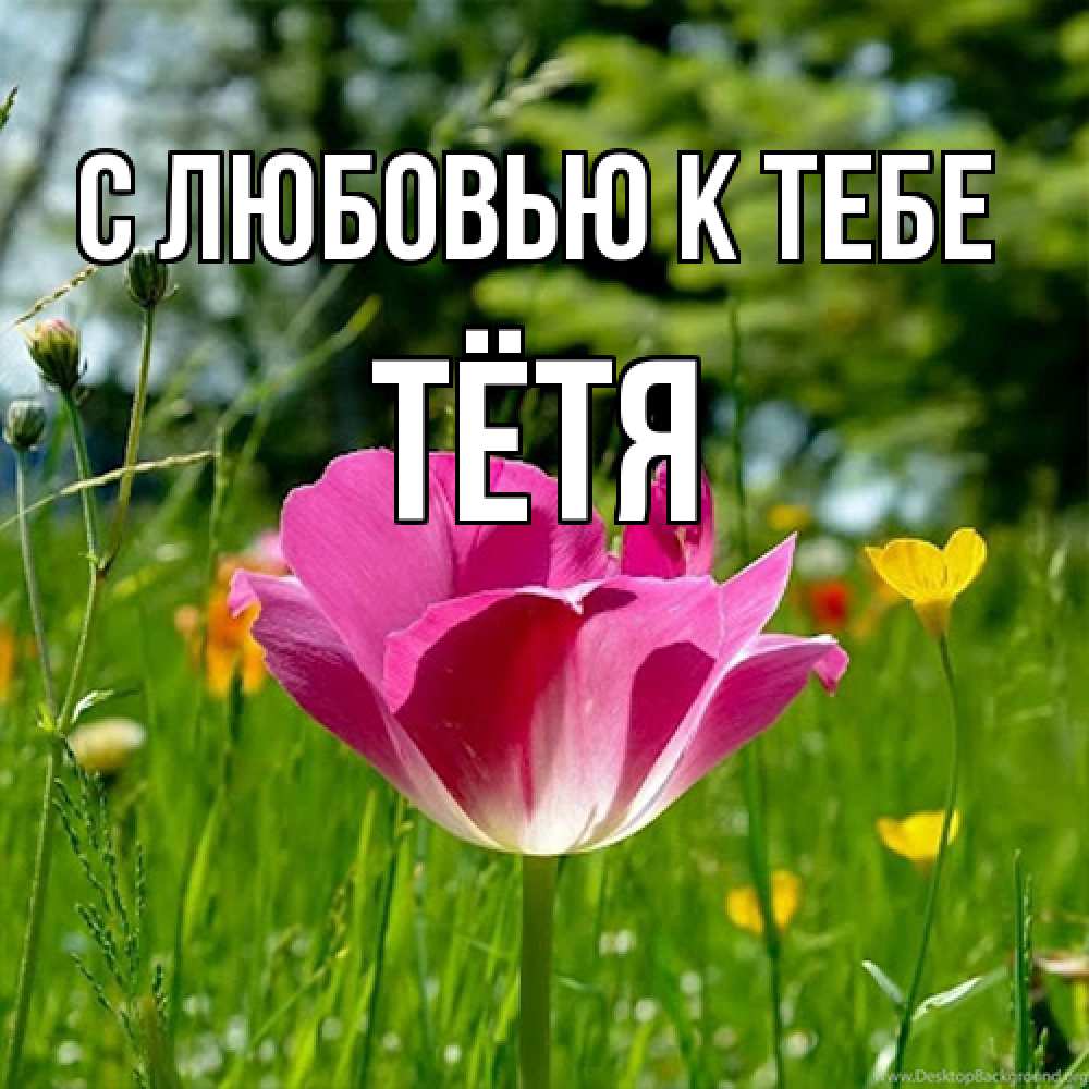 Открытка  с именем. Тётя, С любовью к тебе  