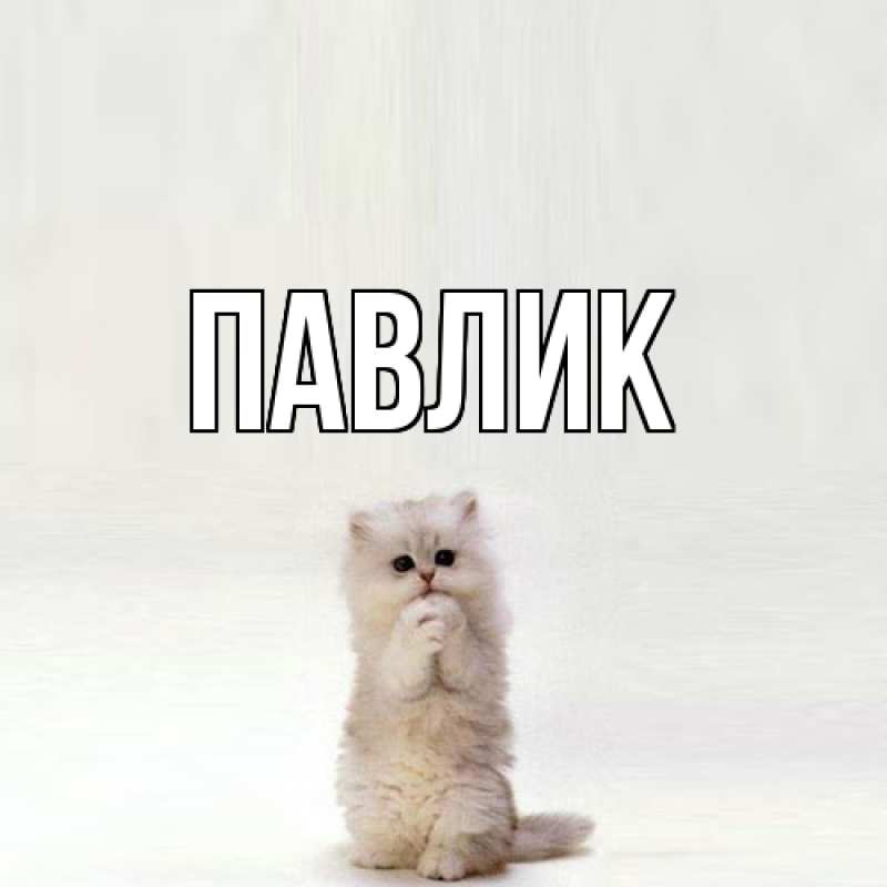 Картинка  с именем , Павлик