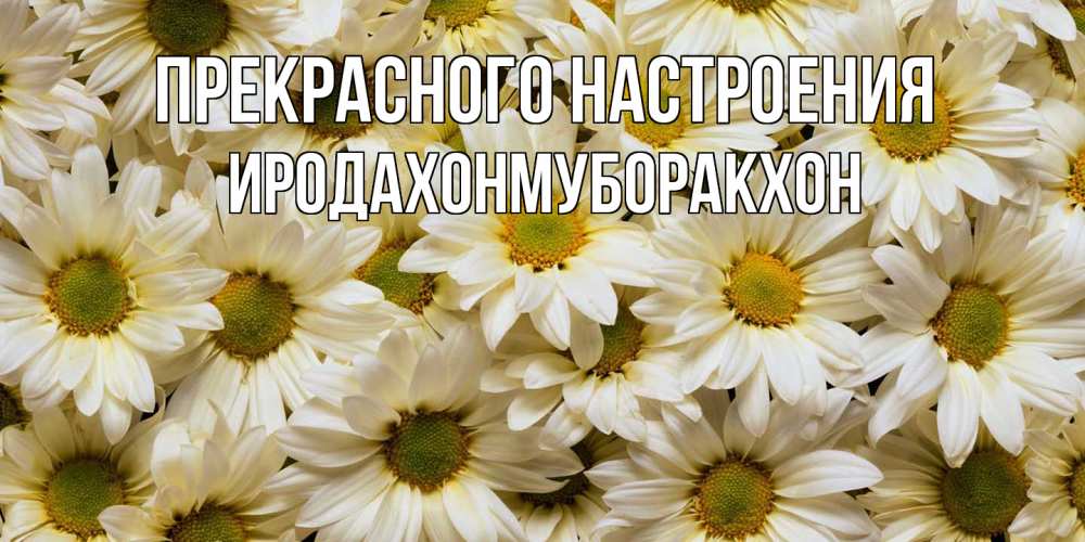 Открытка  с именем. ИРОДАХОНМУБОРАКХОН, Прекрасного настроения  