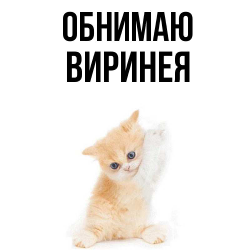 Картинка Обнимаю, Виринея