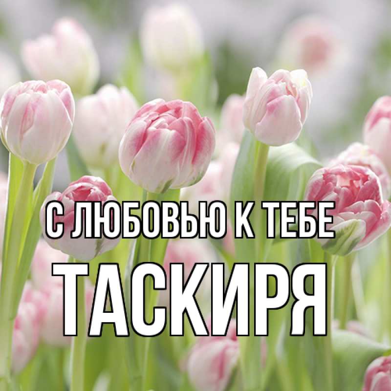 Картинка С любовью к тебе, Таскиря