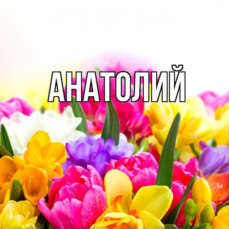 Картинка  с именем , Анатолий