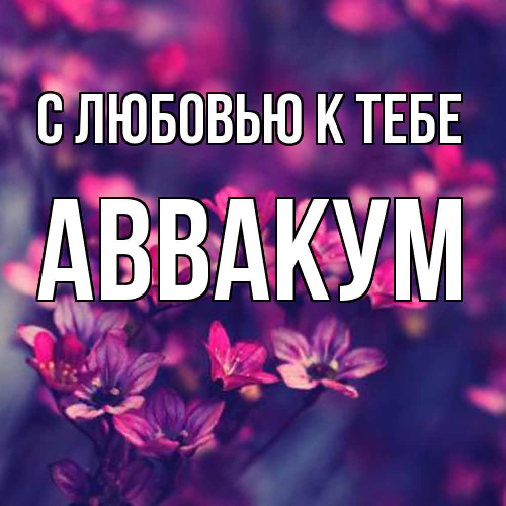 Открытка  с именем. Аввакум, С любовью к тебе  
