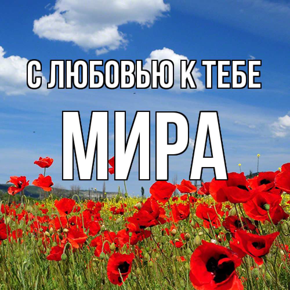 Открытка  с именем. Мира, С любовью к тебе  