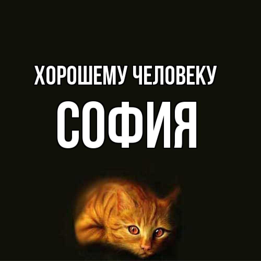 Открытка  с именем. София, Хорошему человеку  