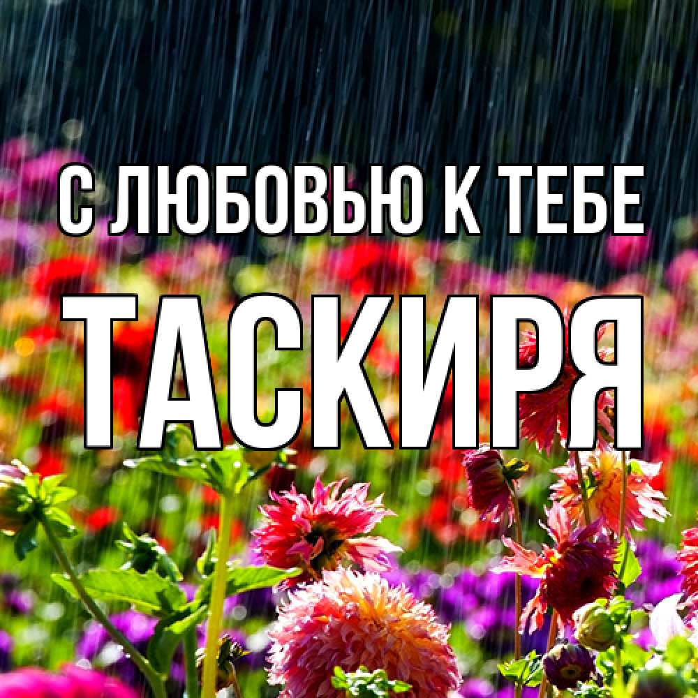 Открытка  с именем. Таскиря, С любовью к тебе  