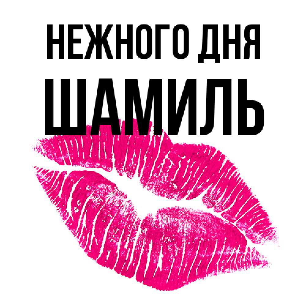 Открытка  с именем. Шамиль, Нежного дня  