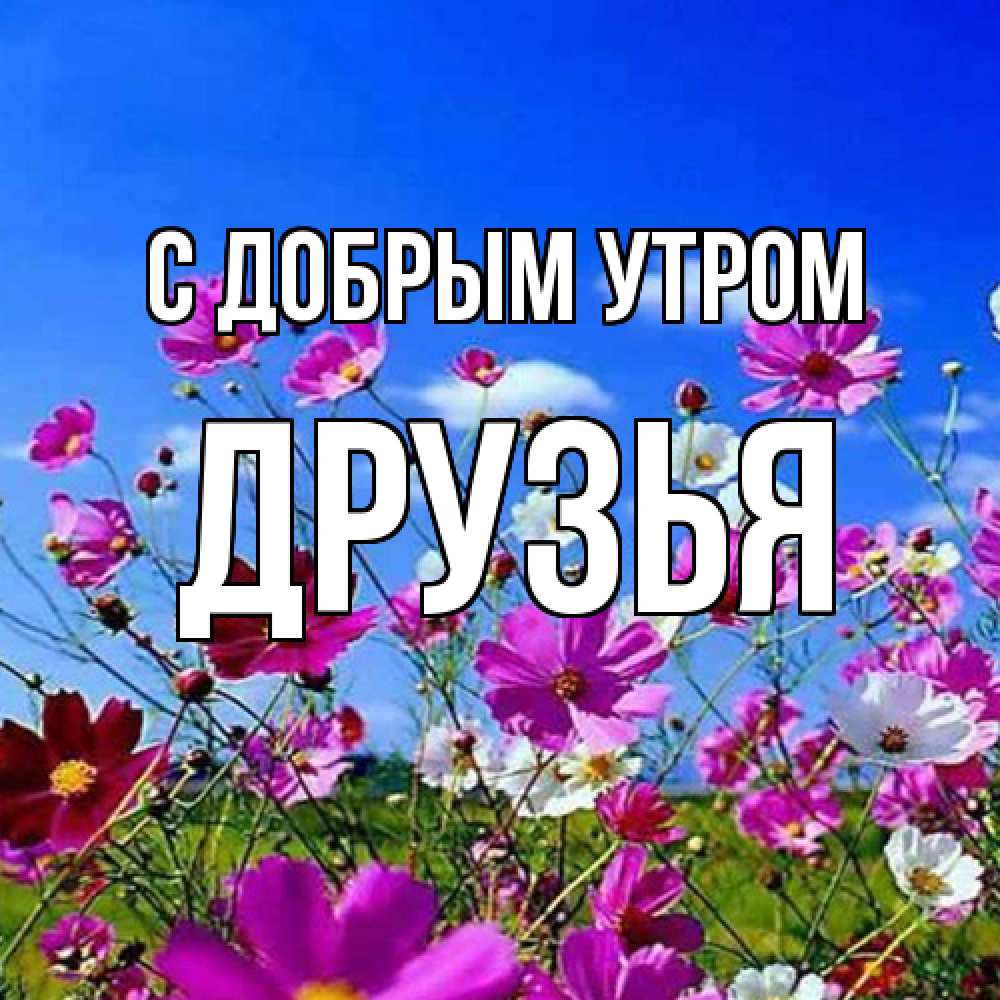Открытка  с именем. друзья, С добрым утром  