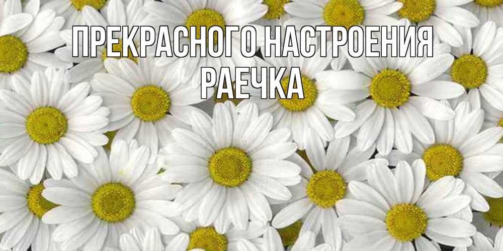 Открытка  с именем. раечка, Прекрасного настроения  