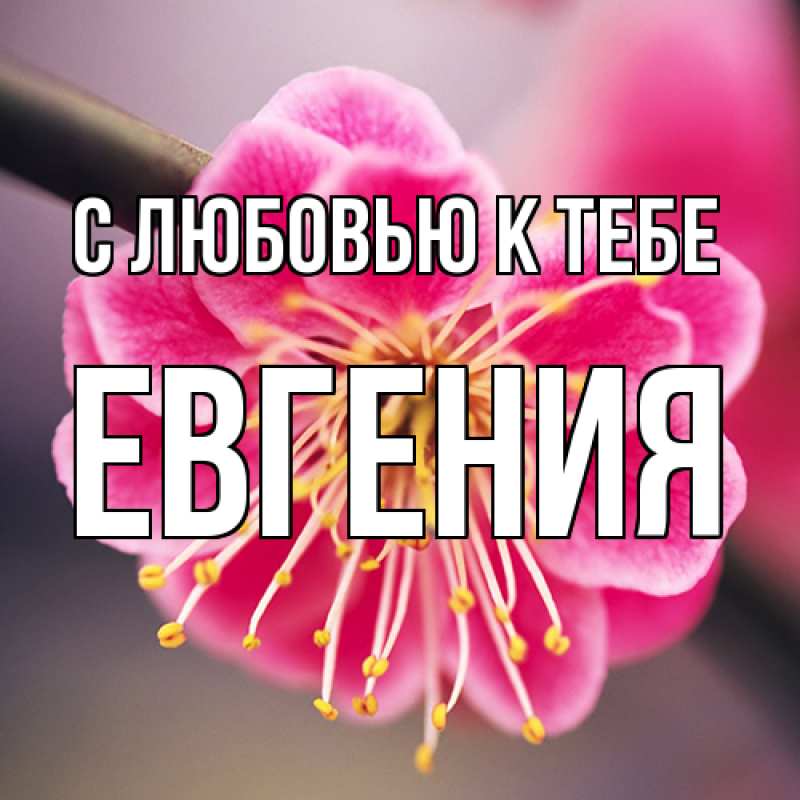 Открытка с именем, Евгения, С любовью к тебе