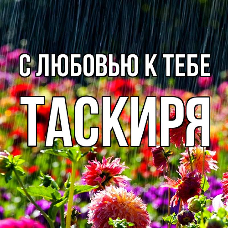 Картинка С любовью к тебе, Таскиря