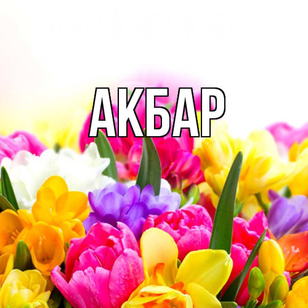 Открытка  с именем. Акбар, Главная  