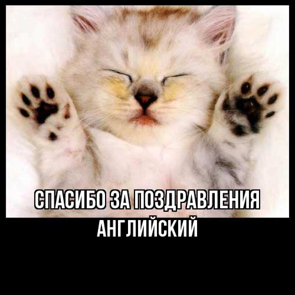 Открытка  с именем. Английский, Спасибо за поздравления  