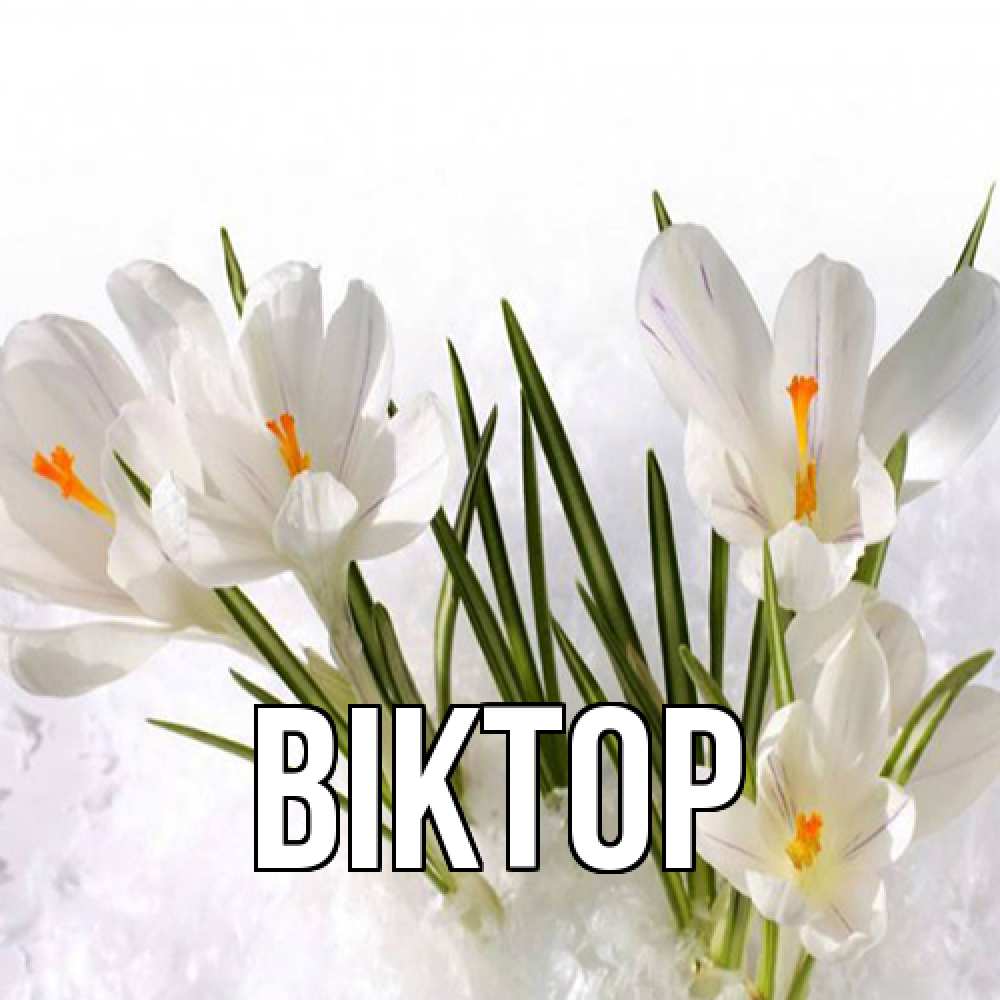 Открытка  с именем. Віктор, Главная  