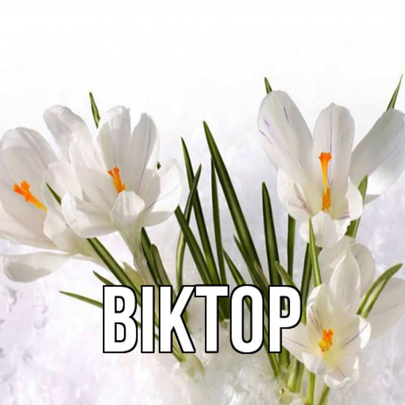 Картинка  с именем , Віктор