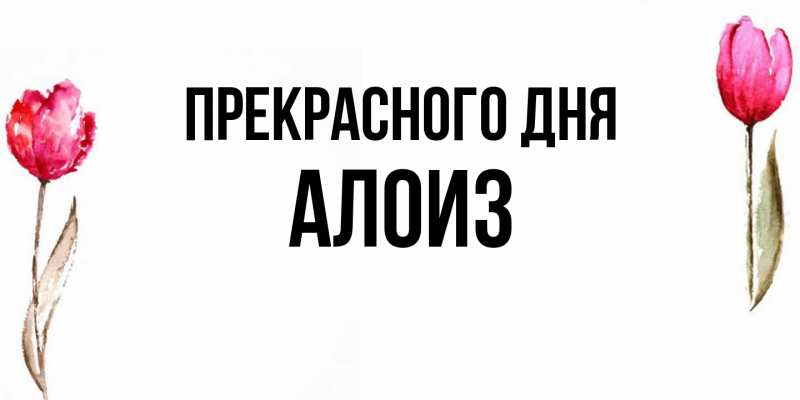 Картинка Прекрасного дня, Алоиз