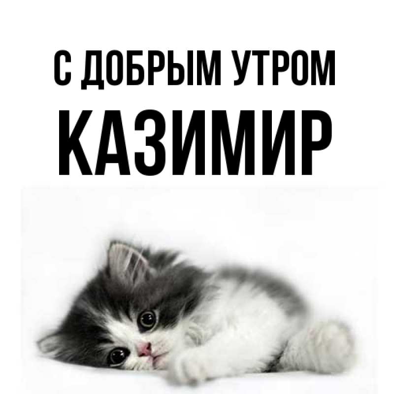 Картинка С добрым утром, Казимир