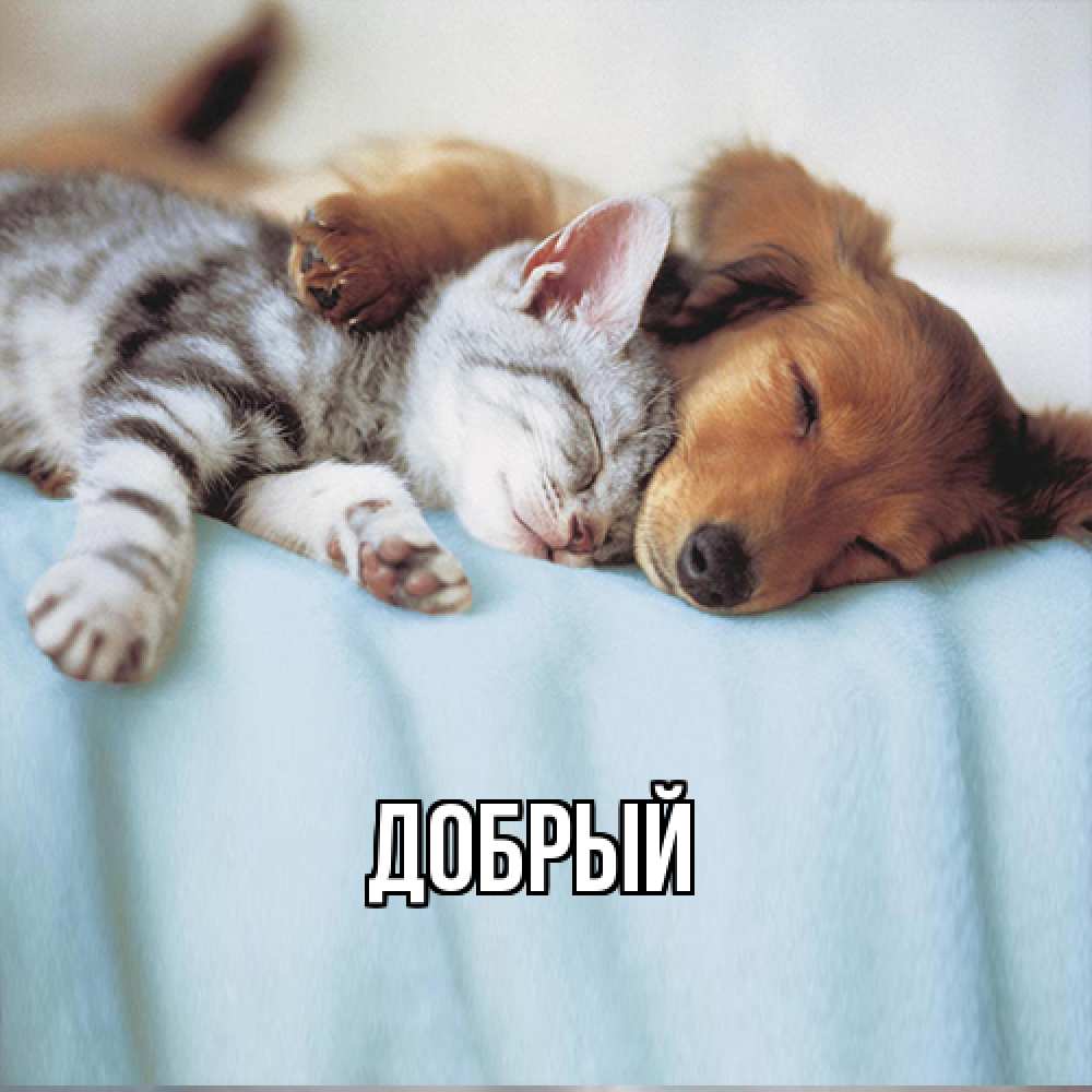 Открытка  с именем. Добрый, Главная  