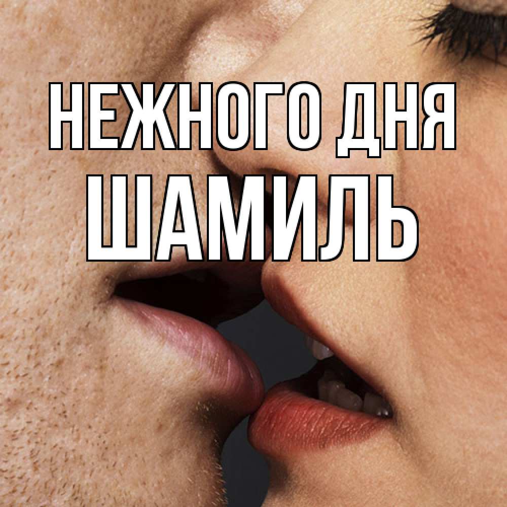 Открытка  с именем. Шамиль, Нежного дня  