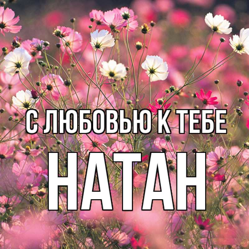Картинка С любовью к тебе, Натан