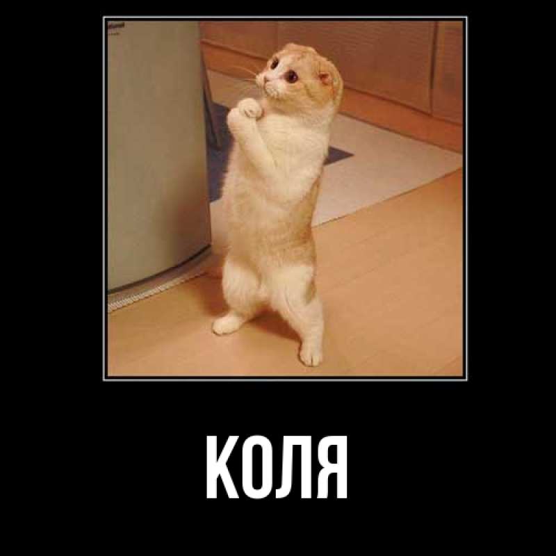 Картинка  с именем , коля