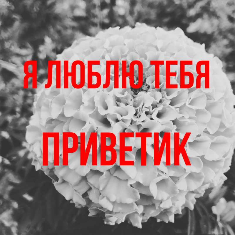 Картинка Я люблю тебя, приветик