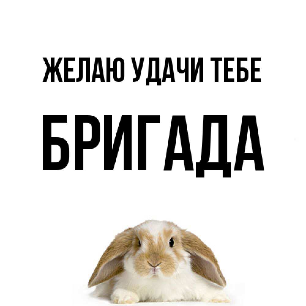 Открытка  с именем. Бригада, Желаю удачи тебе  