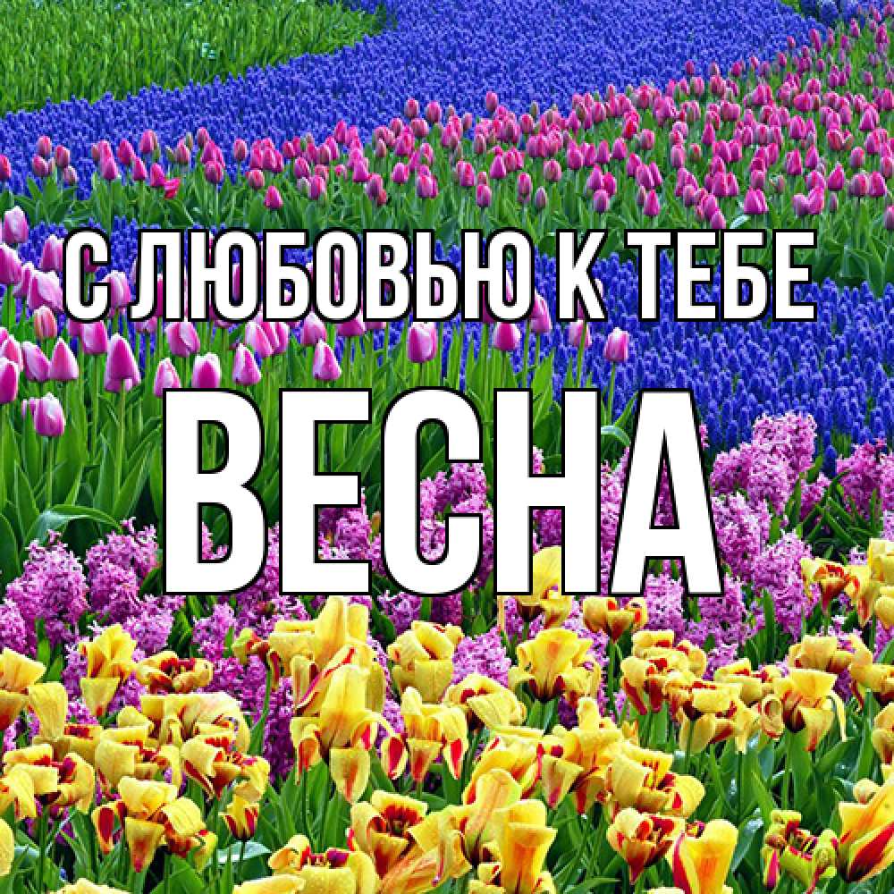 Открытка с именем Весна С любовью к тебе. Открытки на каждый день с именами  и пожеланиями.