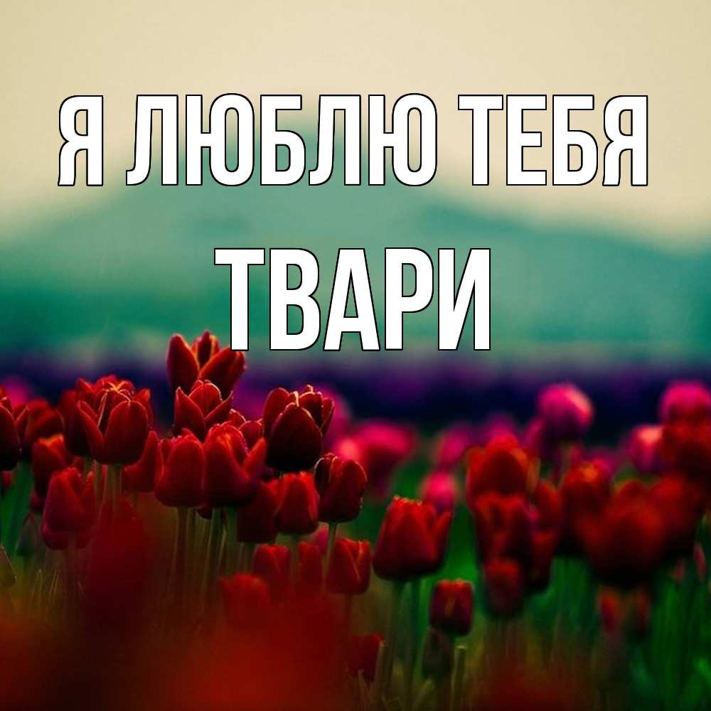 Открытка  с именем. твари, Я люблю тебя  