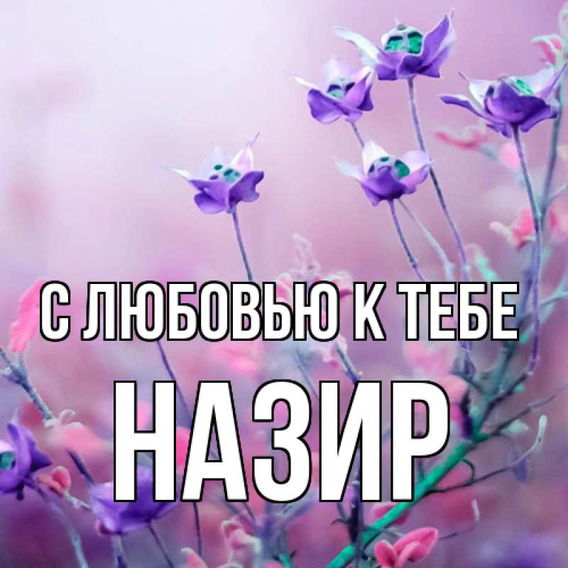 Картинка С любовью к тебе, Назир