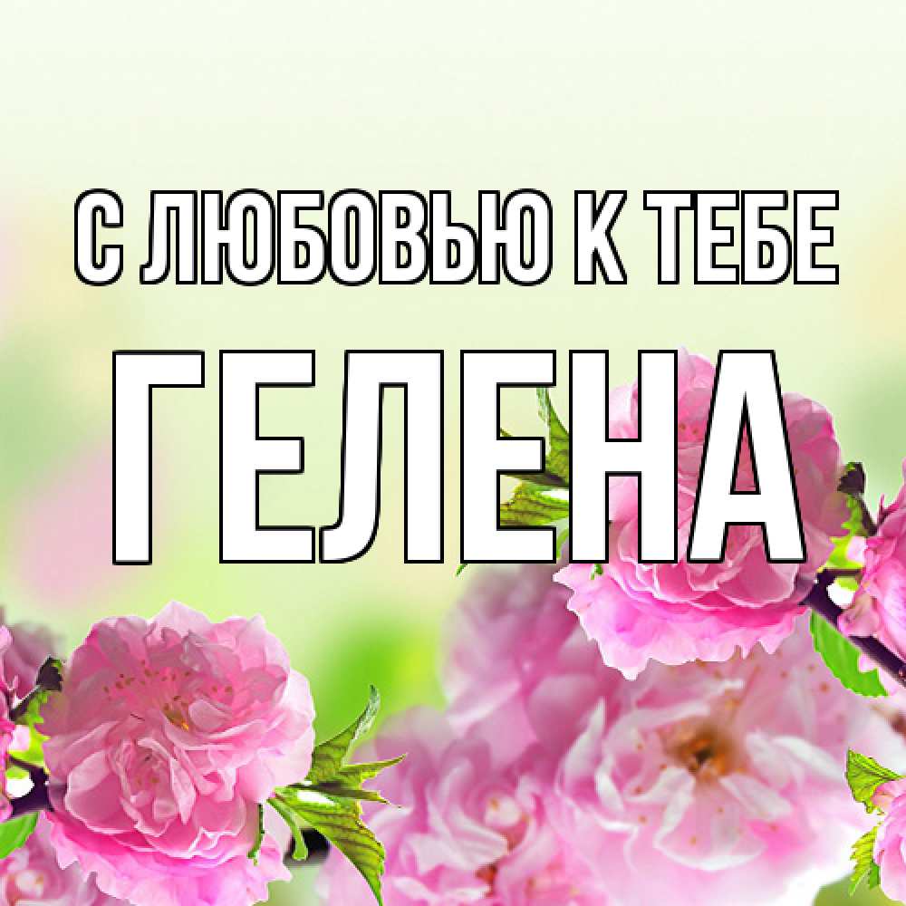 Открытка  с именем. Гелена, С любовью к тебе  