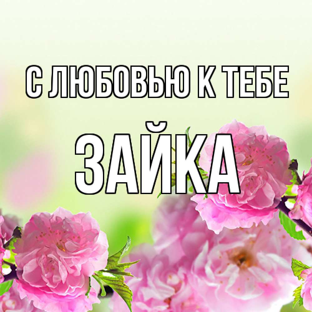 Открытка  с именем. Зайка, С любовью к тебе  