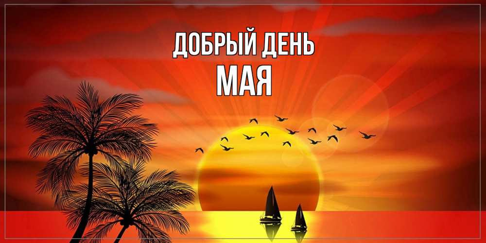 Открытка  с именем. Мая, Добрый день  