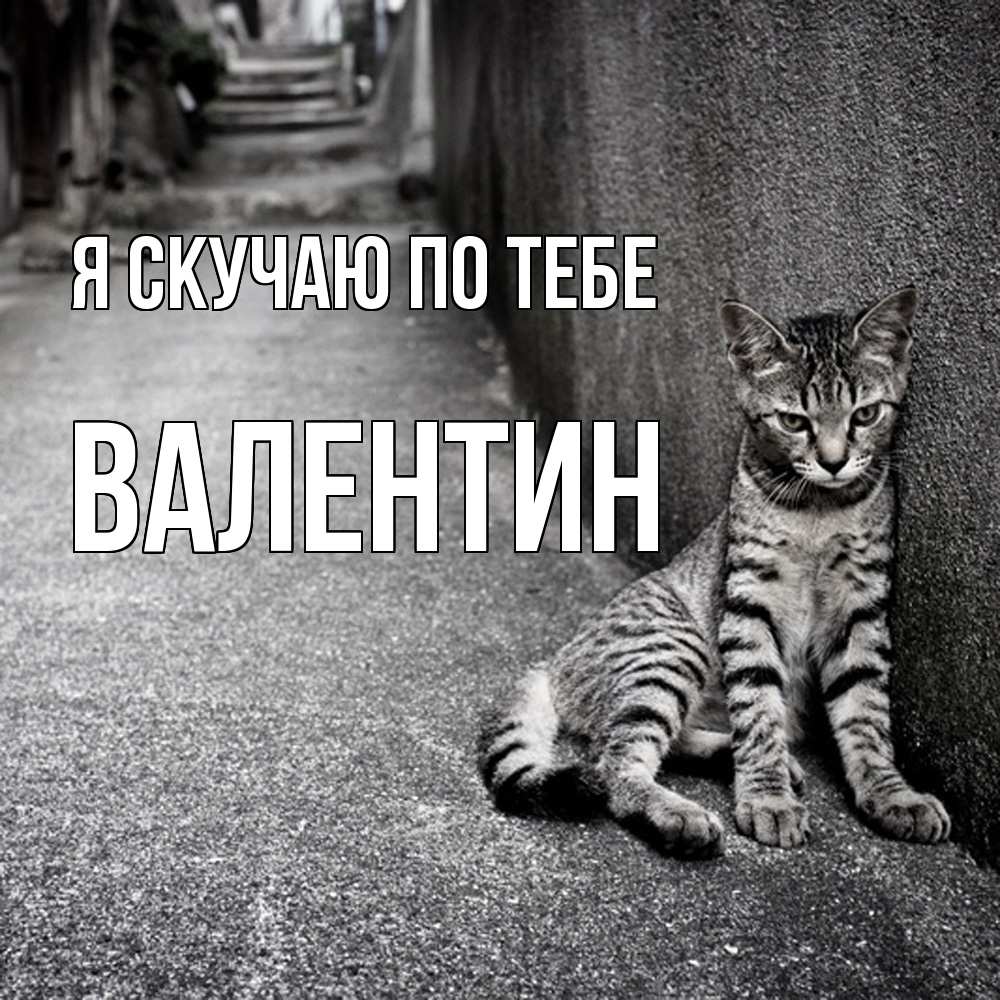 Открытка  с именем. Валентин, Я скучаю по тебе  