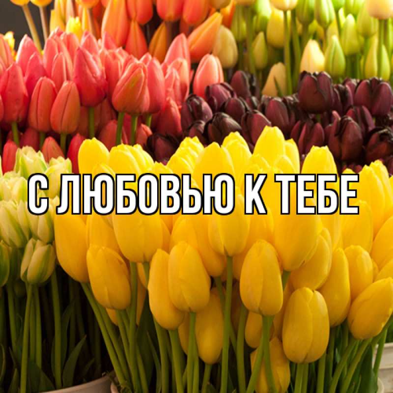 Картинка С любовью к тебе, 