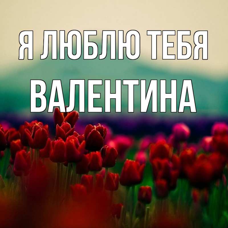 Картинка Я люблю тебя, валентина
