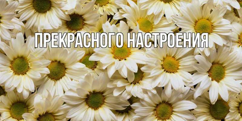 Картинка Прекрасного настроения, 