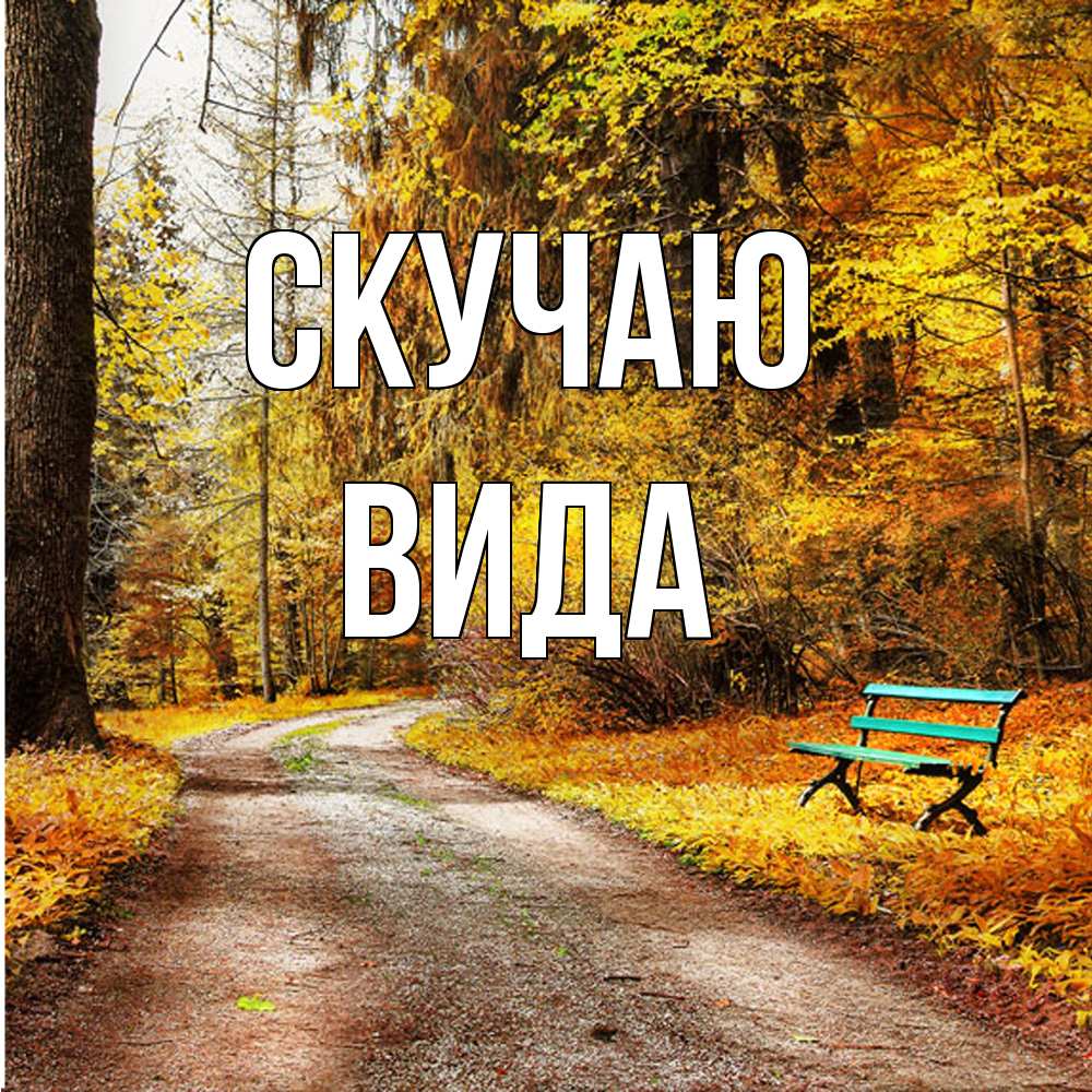 Открытка  с именем. Вида, Скучаю  