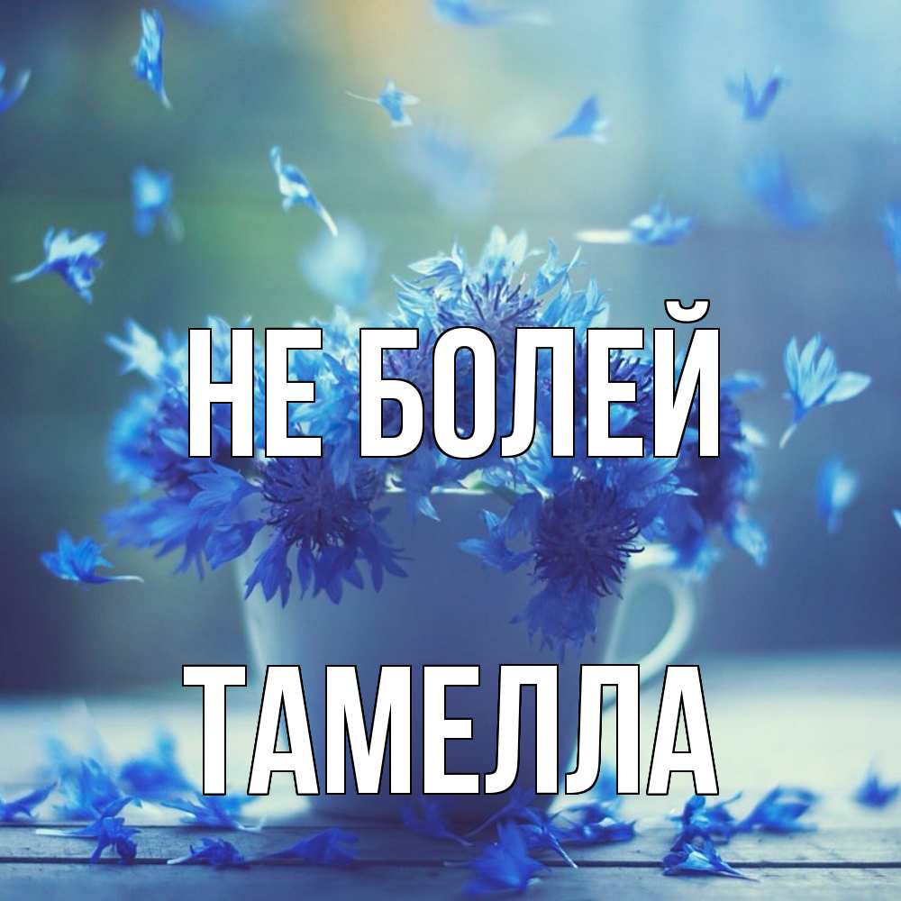 Открытка  с именем. Тамелла, Не болей  