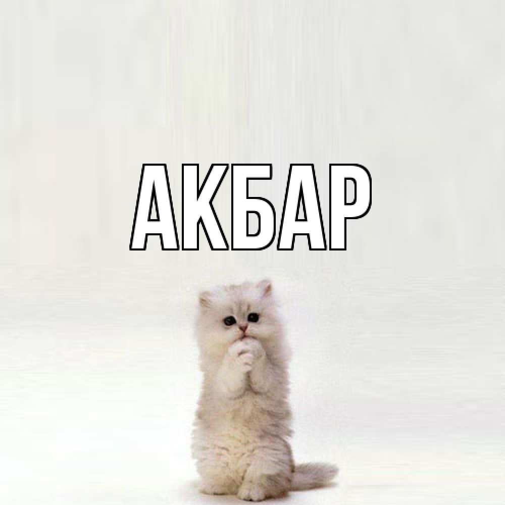 Открытка  с именем. Акбар, Главная  