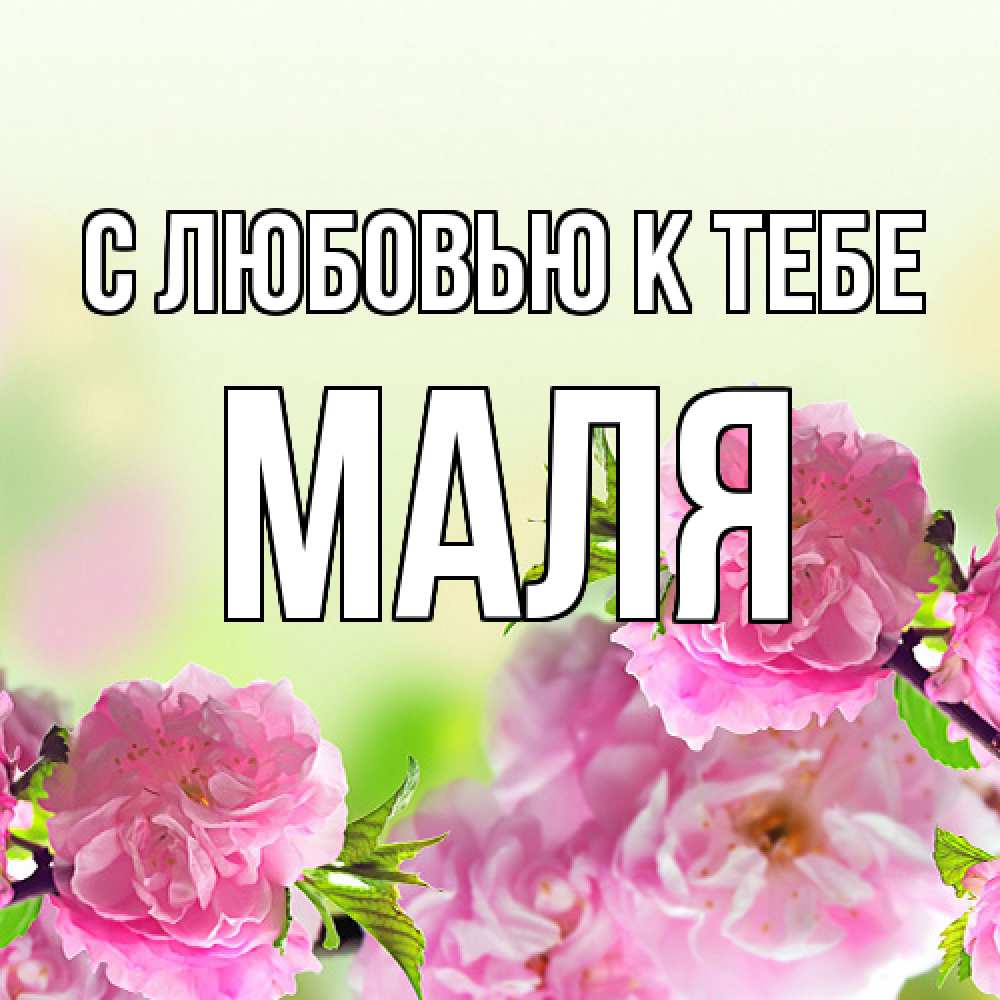 Открытка  с именем. Маля, С любовью к тебе  