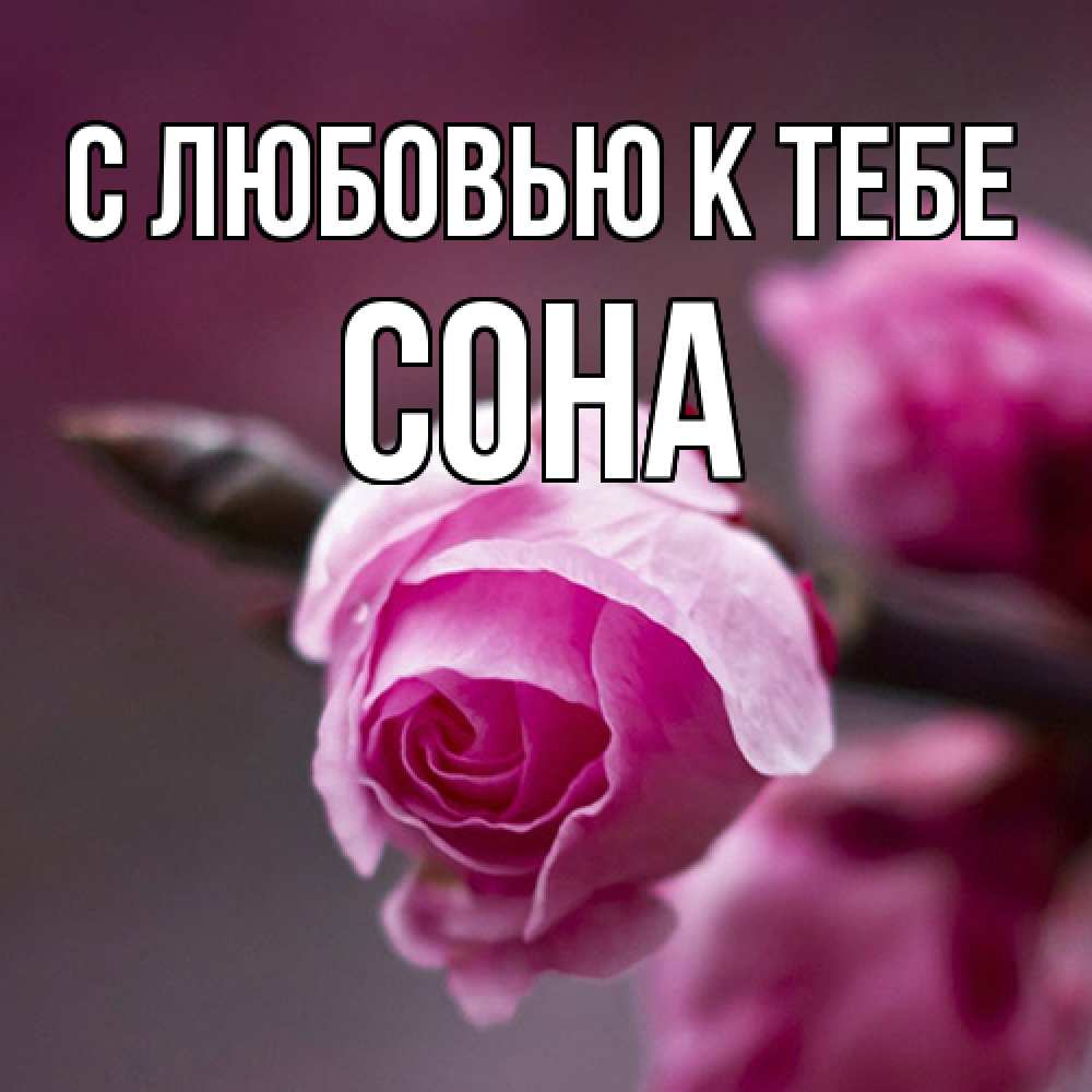 Открытка  с именем. СОНА, С любовью к тебе  