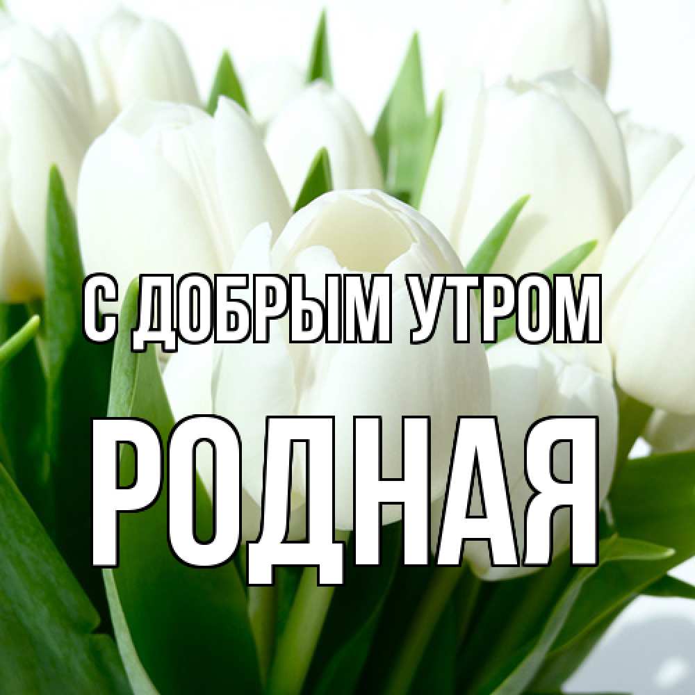 Открытка  с именем. Родная, С добрым утром  