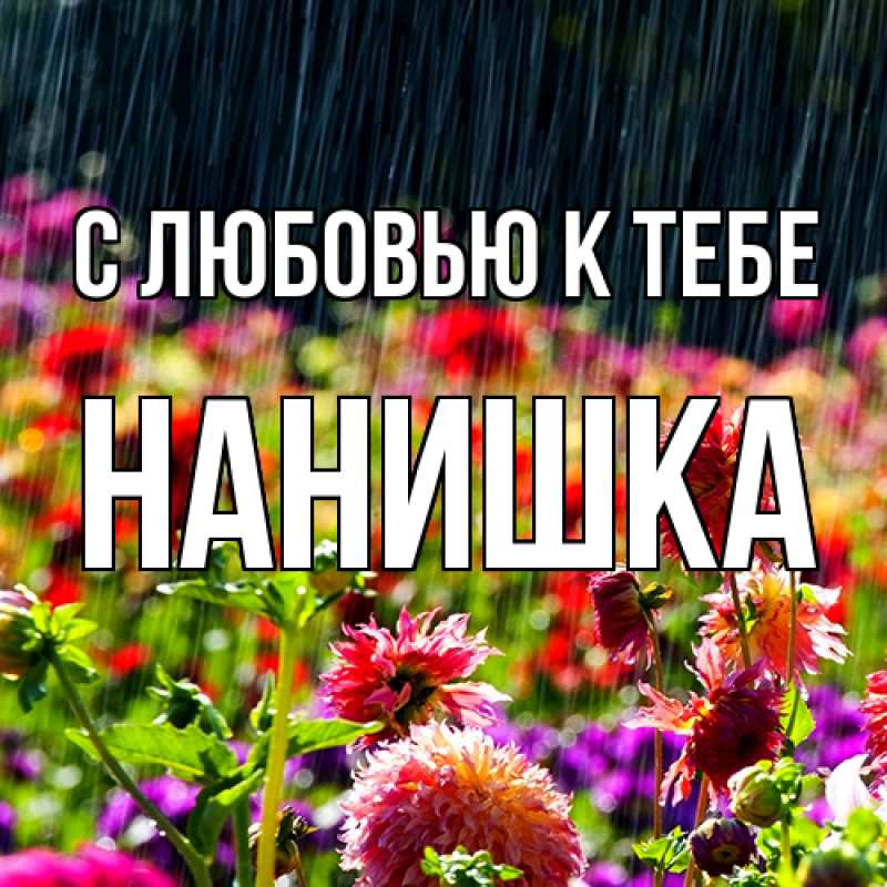 Картинка С любовью к тебе, Нанишка