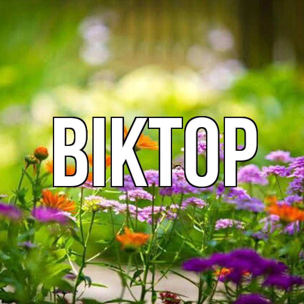 Открытка  с именем. Віктор, Главная  