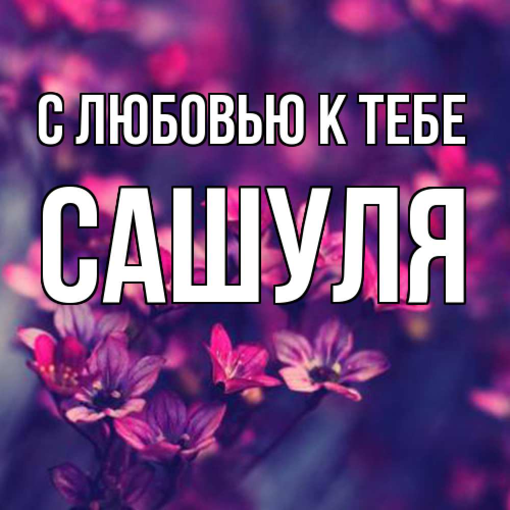 Открытка  с именем. Сашуля, С любовью к тебе  